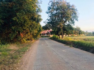 ขาย ที่ดิน ใกล้ทางหลวงหมายเลข24 เข้าออกหมู่บ้านได้2เส้นทาง ที่นา-ที่ดินราคาถูกนครราชสีมา ใกล้ถนนโชคชัย-เดชอุดม น้ำประปาไฟฟ้าผ่านหน้าที่นา