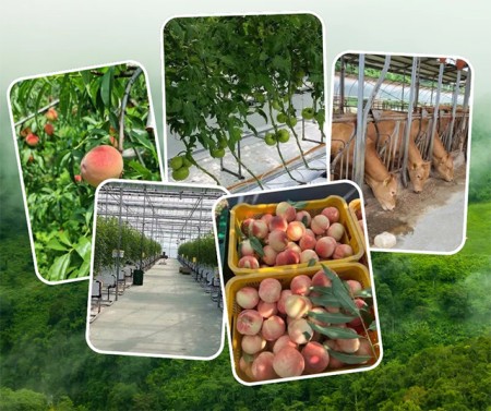 บริการ ประกาศ งานสวนประเทศออสเตรเลีย รายได้ดีมาก รับสมัครงานต่างประเทศด่วน งานสวนประเทศเกาหลีใต้ จัดหางานต่างประเทศ